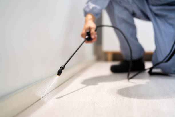 Licensed Pest Control service in Kensington, CT - Show Me Pest Control