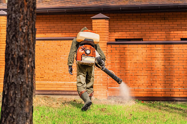 Bed Bug Clearance Verification and Documentation in Kensington